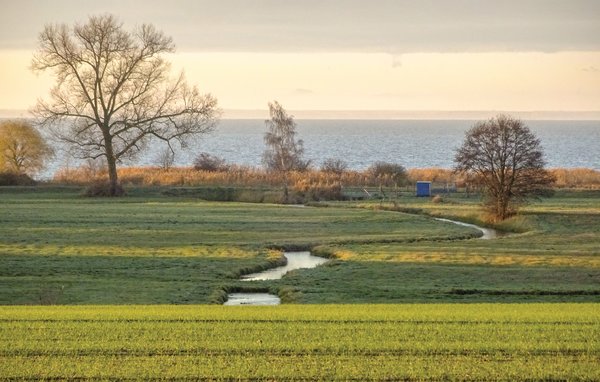 Feriehuse - Fischerdorf Zirchow/Usedom , Tyskland - DMU173 909