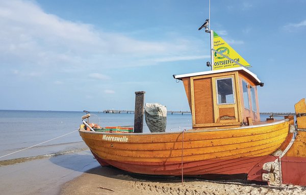 Vakantiehuis Reetdachhaus Kiek in` Wald