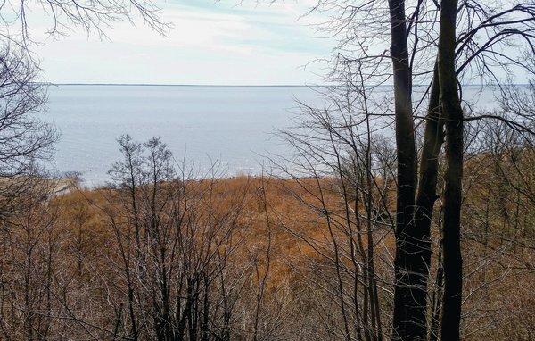 Dom Reetdachhaus 14 auf Usedom