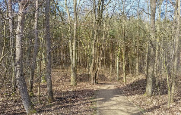 Dom Reetdachhaus 14 auf Usedom