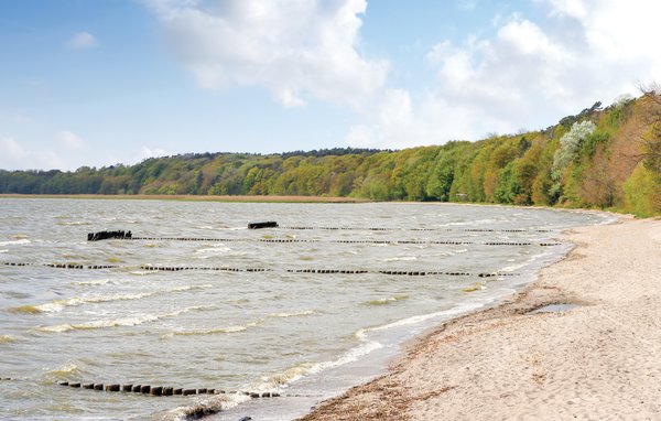 Dom Reetdachhaus 14 auf Usedom