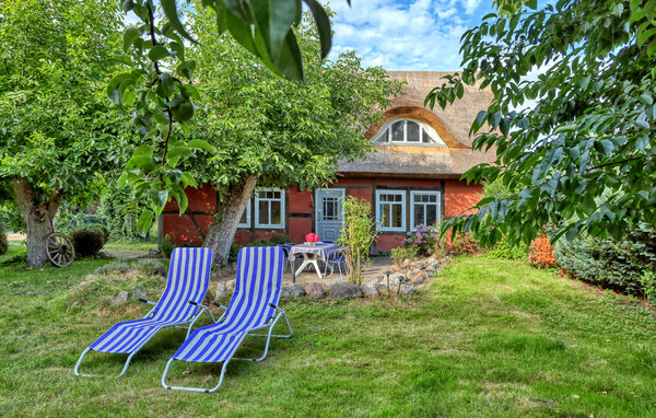 Ferienhaus - Rankwitz , Deutschland - DMU233 1