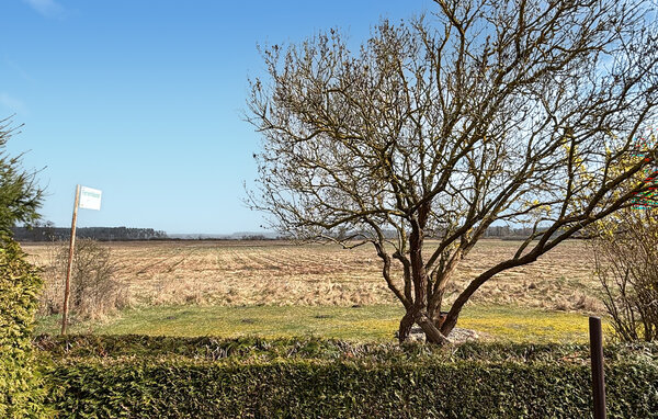 Ferienhaus - Waren , Deutschland - DMV021 102