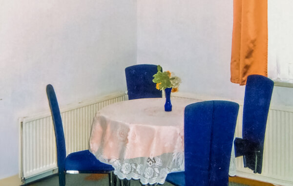 Ferienhaus - Löcknitz , Deutschland - DMV203 303