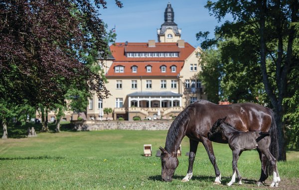 Feriebolig 