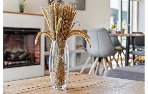 Ferienhaus - Ferienoase Plätlinsee- Wustrow , Deutschland - DMV660 302