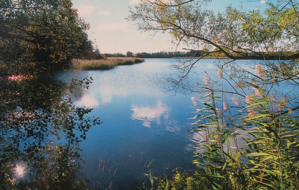 Semesterhus - Rechlin/Müritz , Tyskland - DMV755 902