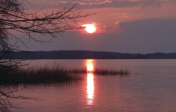 Ferienwohnung - Rechlin/Müritz , Deutschland - DMV844 911