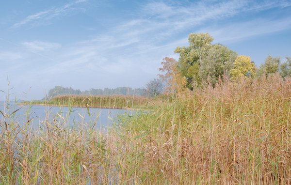 Ferienwohnung - Rechlin/Müritz , Deutschland - DMV844 912