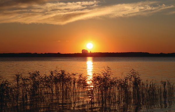 Semesterlägenhet - Rechlin/Müritz , Tyskland - DMV862 902