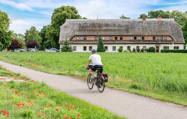 Semesterlägenhet - Rechlin/Müritz , Tyskland - DMV881 909