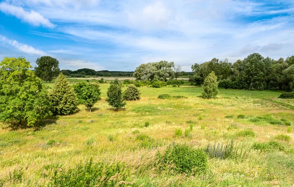 Ferienwohnung - Rechlin/Müritz , Deutschland - DMV883 907