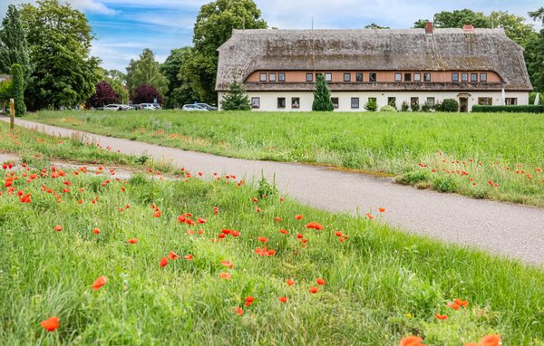 Ferienwohnung - Rechlin/Müritz , Deutschland - DMV883 908