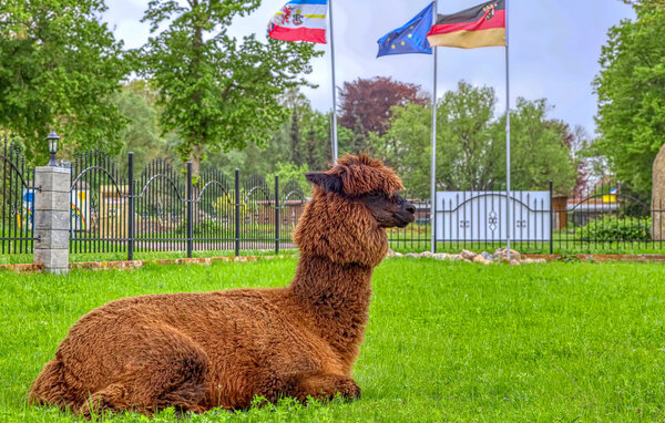 Ferienwohnung Ferienhof für die Familie