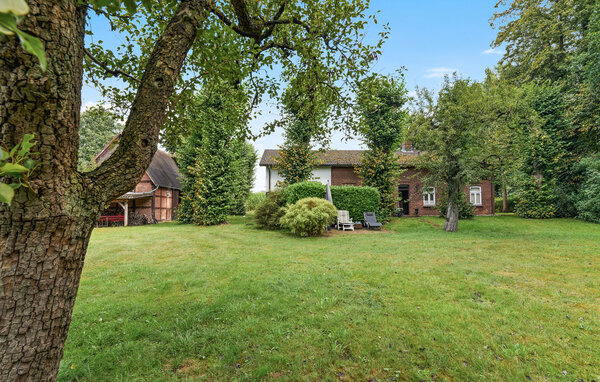 Apartamento - Wingst , Alemania - DNS157 82