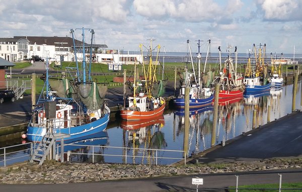Semesterhus - Wurster Nordseeküste , Tyskland - DNS184 901