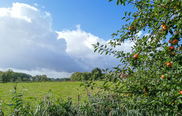 Ferienhaus - Drochtersen , Deutschland - DNS220 105