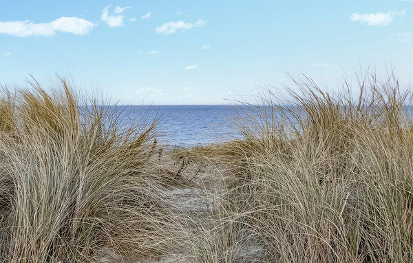 Ferienwohnung - Schillig - Wangerland , Deutschland - DNS232 9