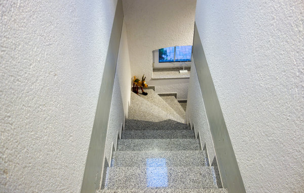 Ferienwohnung - Butjadingen , Deutschland - DNS244 501