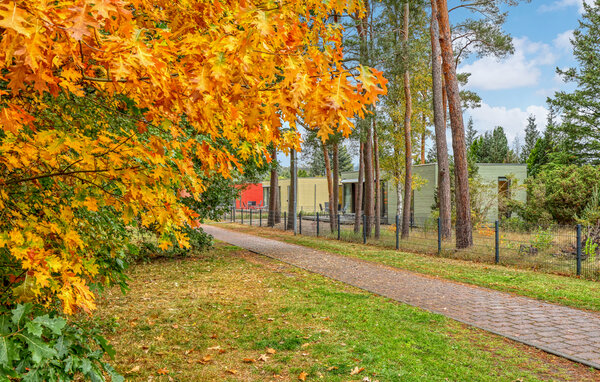 Feriehus - Sassenburg , Tyskland - DNS330 103