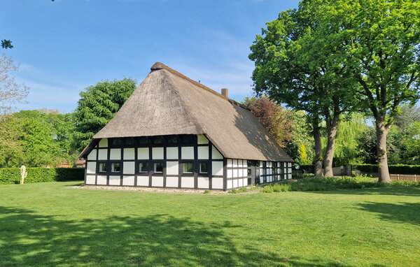 Holiday Home - Dümmer See , Germany - DNS343 8