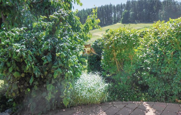 Ferienwohnung - Medebach , Deutschland - DNW158 903