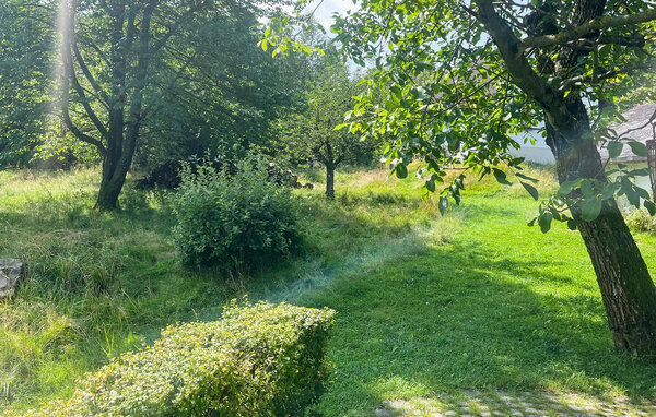 Domy wakacyjne - Waltersdorf , Niemcy - DOL108 105