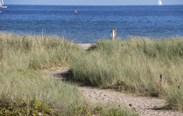 Semesterhus - OstseeResort Olpenitz , Tyskland - DOP120 901