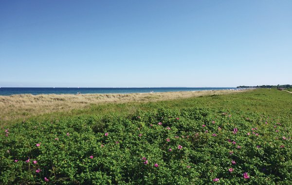 Dům Strandhaus
