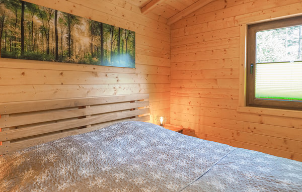 Domy wakacyjne - Pfälzer Wald/Südwestpfalz , Niemcy - DPW105 601