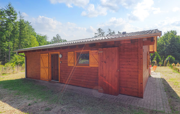Domy wakacyjne - Pfälzer Wald/Südwestpfalz , Niemcy - DPW105 81