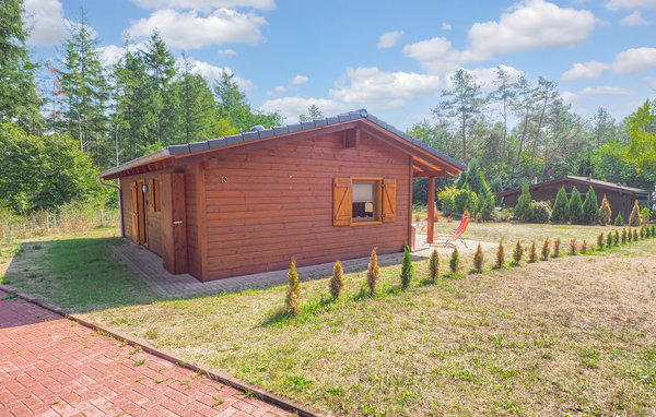 Domy wakacyjne - Pfälzer Wald/Südwestpfalz , Niemcy - DPW105 82