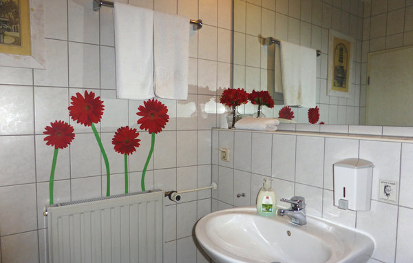 Ferienhaus - Auerbach , Deutschland - DSA104 701