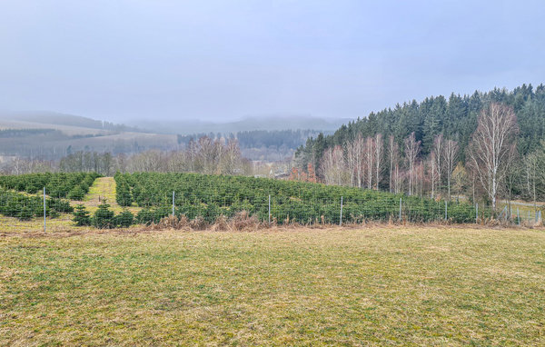 Semesterhus - Adorf , Tyskland - DSA159 204