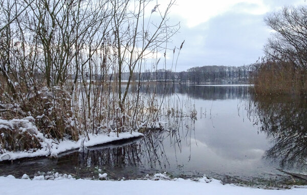 Ferienhaus - Feriendorf Wardersee , Deutschland - DSH005 904