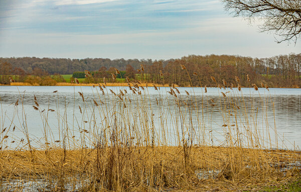 Holiday Home - Feriendorf Wardersee , Germany - DSH017 902