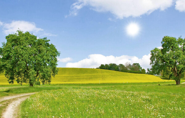 Ferienhaus - Feriendorf Wardersee , Deutschland - DSH022 901