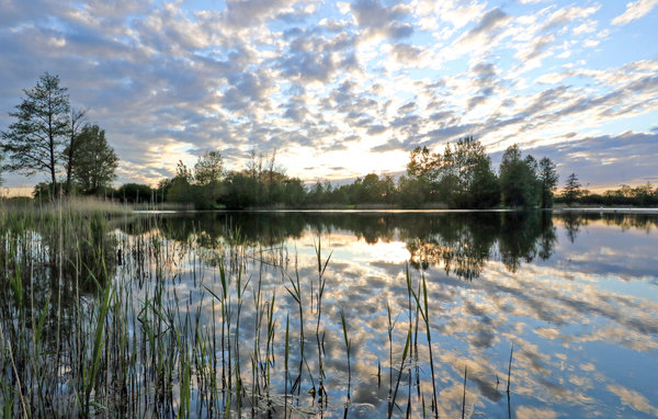 Kuća-za-odmor - Süsel , Njemacka - DSH071 904
