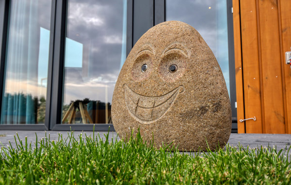 Dům 