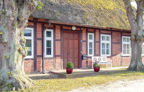 Ferienhaus - Lutterbek , Deutschland - DSH230 81