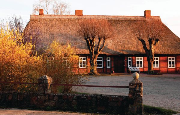 Ferienhaus - Lutterbek , Deutschland - DSH230 82