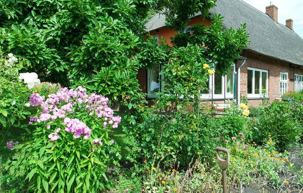 Ferienhaus - Lutterbek , Deutschland - DSH230 101