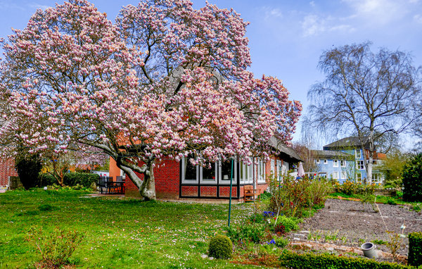 Ferienhaus - Lutterbek , Deutschland - DSH230 106