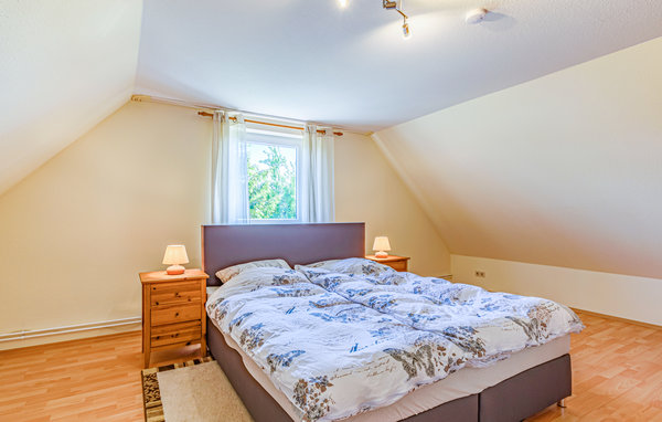 Ferienhaus - Steinberg , Deutschland - DSH398 601