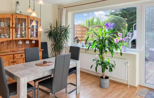 Ferienhaus - Steinberg , Deutschland - DSH398 302