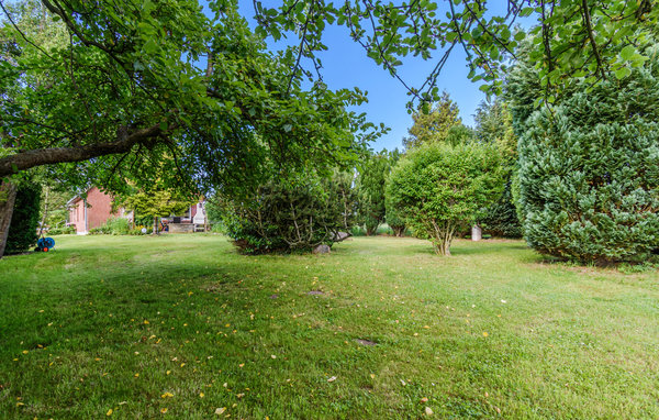 Ferienhaus - Steinberg , Deutschland - DSH398 105