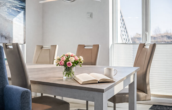 Domy wakacyjne - Olpenitz , Niemcy - DSH491 302