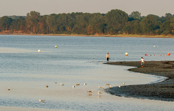 Feriehuse - Travemünde-Priwall , Tyskland - DSH557 904