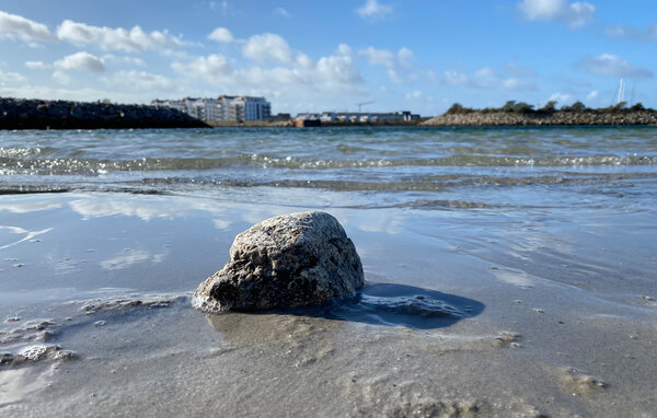 Apartment - Olpenitz , Germany - DSH590 901
