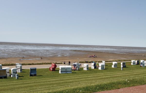 Ferienhaus Friedrichskoog-Strandpark 11